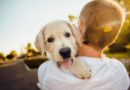 Setembro Amarelo: cães podem ajudar na prevenção do suicídio