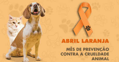 Abril Laranja alerta sobre crueldade contra animais. Saiba como denunciar maus tratos