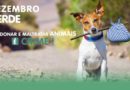 Dezembro Verde – Abandono é crime