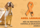 Abril Laranja alerta sobre crueldade contra animais. Saiba como denunciar maus tratos