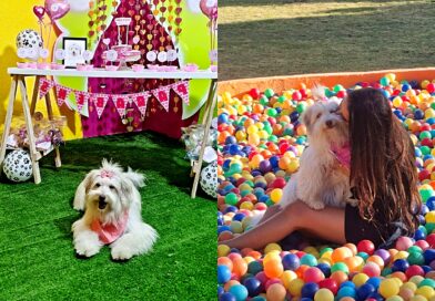 Vira-lata abandonada prenha e ferida comemora um ano de adoção com viagem e festa